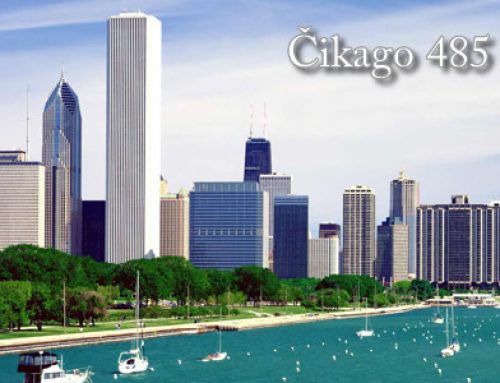 Donec Ornare Turpis Eget